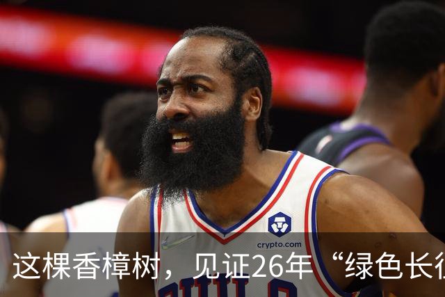 这棵香樟树，见证26年“绿色长征”